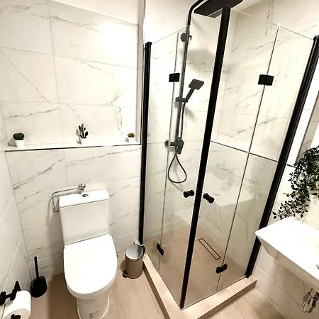 Apartment Business Lorrach